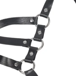 Harness-valjaat