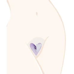 Ladyshape – Sydänsapluuna
