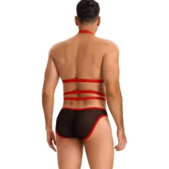 Punainen harness-body