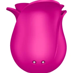Satisfyer Pro 2 Modern Blossom klitoriskiihotin