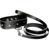 Sportsheets Leather Leash & Collar, Nahkainen talutushihna